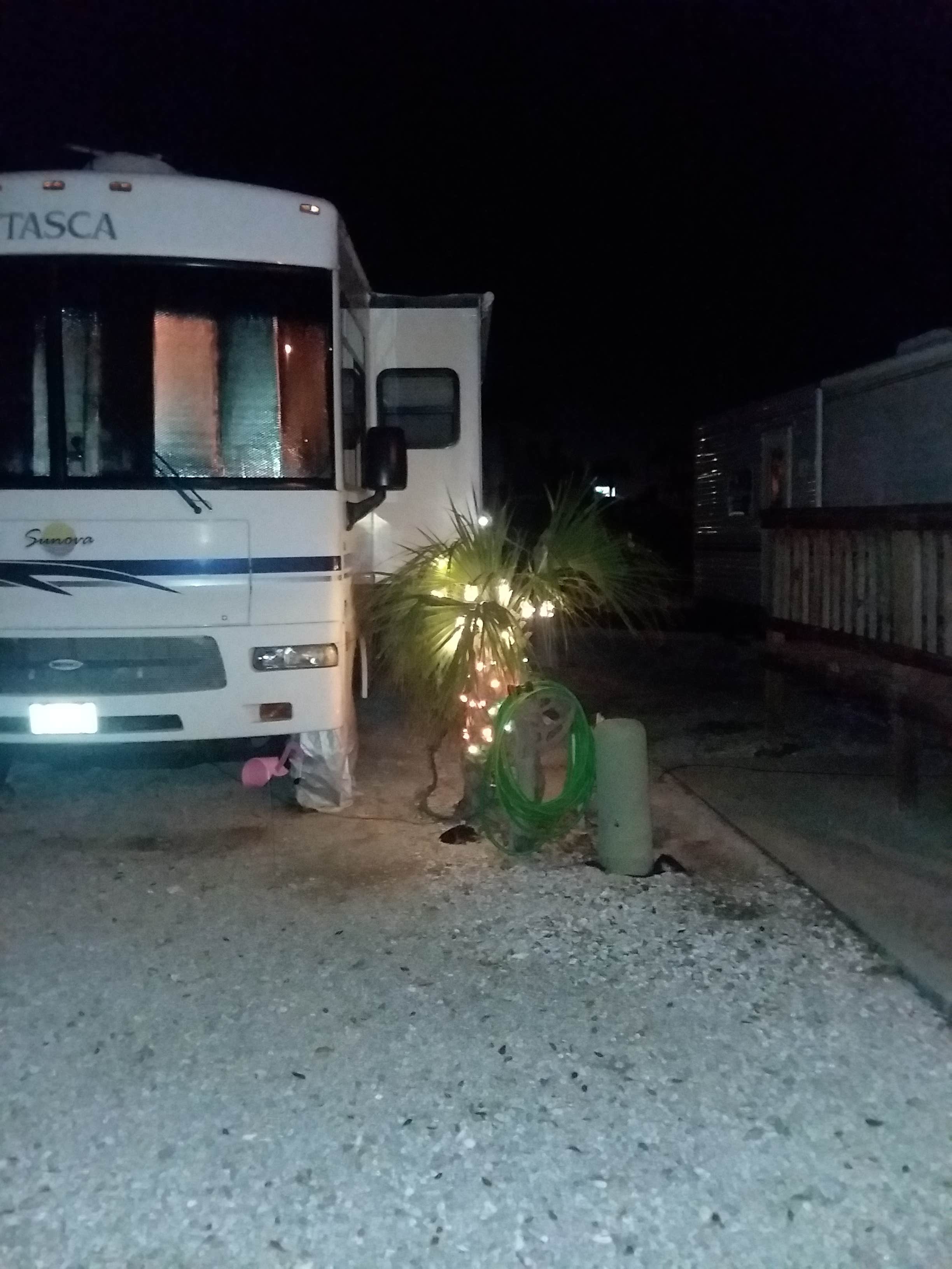 Camper submitted image from Tampa South RV Resort - 1