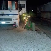 Review photo of Tampa South RV Resort by Robert W., August 31, 2021