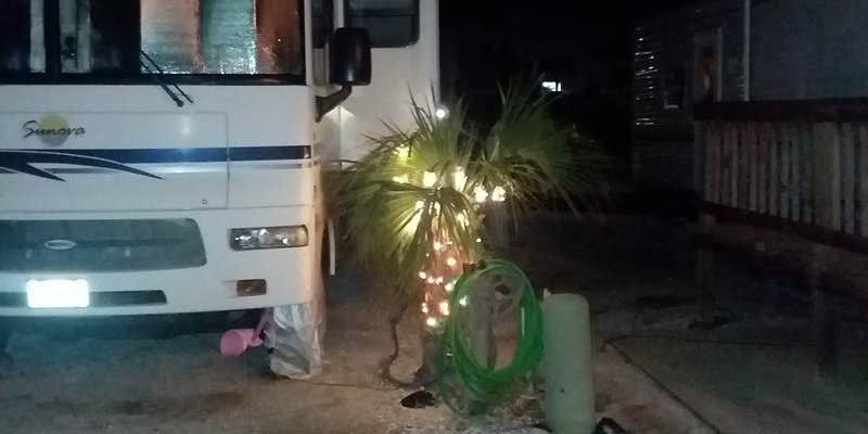 Camper submitted image from Tampa South RV Resort