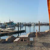 Review photo of Porto Bodega Marina & RV Park by Duranne C., August 31, 2021