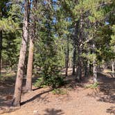 Review photo of Columbine Campground by Chris P., August 31, 2021