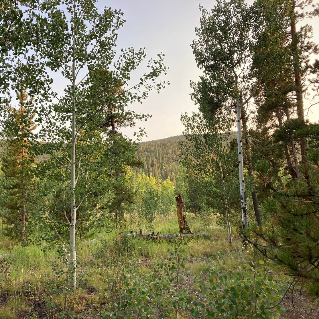 Columbine Campground - Outside of Denver | Black Hawk, Colorado