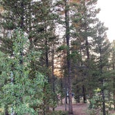 Review photo of Columbine Campground by Chris P., August 31, 2021