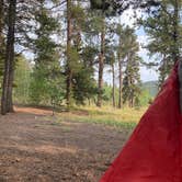 Review photo of Columbine Campground by Chris P., August 31, 2021