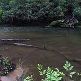 Review photo of Mulky Campground by Savannah C., July 19, 2016