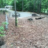 Review photo of Morganton Point Campground by Chris B., June 21, 2018