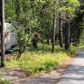 Review photo of Apgar Campground — Glacier National Park by Nancy C., August 31, 2021