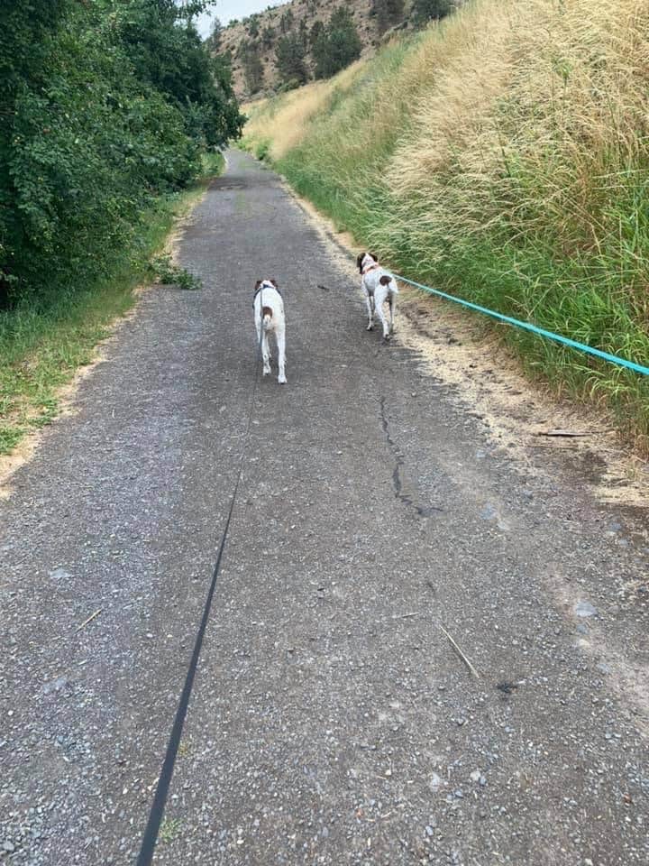 MickandKarla W.'s photo of camping with pets at Waterwheel RV Park & Campground near Fremont-Winema National Forest