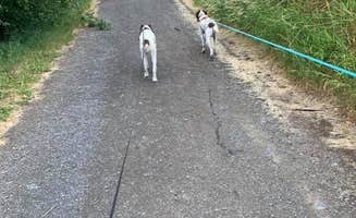 MickandKarla W.'s photo of camping with pets at Waterwheel RV Park & Campground near Tulelake, CA