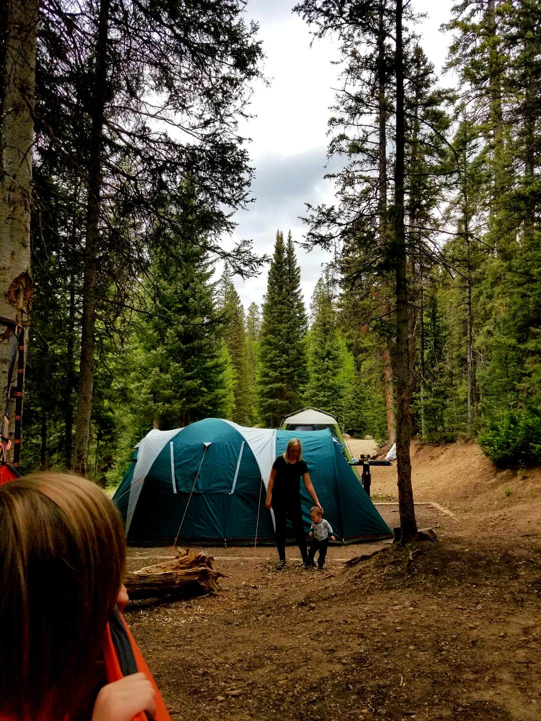 Camper submitted image from Anderson Meadow Campground (fishlake Nf, Ut) - 4