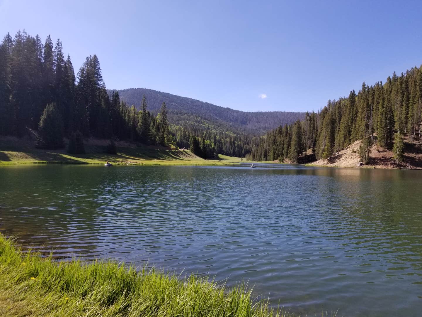 Camper submitted image from Anderson Meadow Campground (fishlake Nf, Ut) - 5