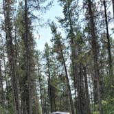 Review photo of Moose Creek RV Resort and Bed & Breakfast by Nancy C., August 31, 2021