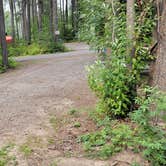 Review photo of Moose Creek RV Resort and Bed & Breakfast by Nancy C., August 31, 2021