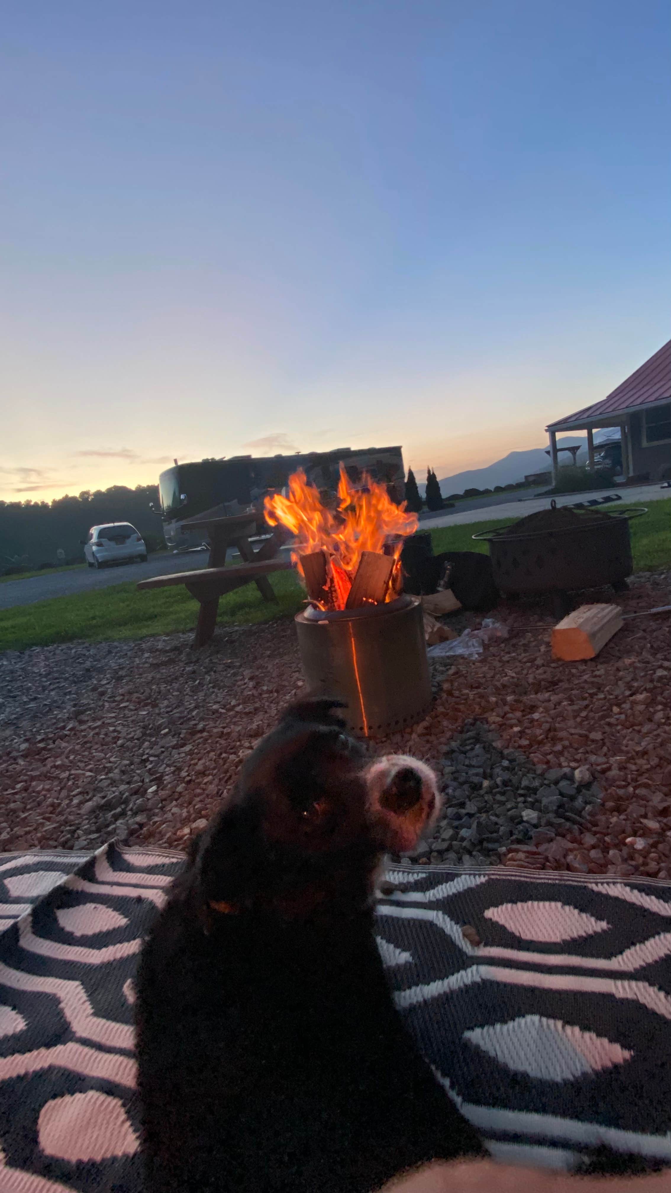 Cassandra R.'s photo of camping with pets at Mama Gertie's Hideaway Campground near Asheville, NC
