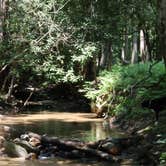 Review photo of Stone Mountain State Park Campground by Cassandra R., August 31, 2021