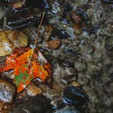 Review photo of Stone Mountain State Park Campground by Cassandra R., August 31, 2021