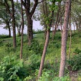 Review photo of Hartford Beach State Park Campground by Neil T., August 31, 2021