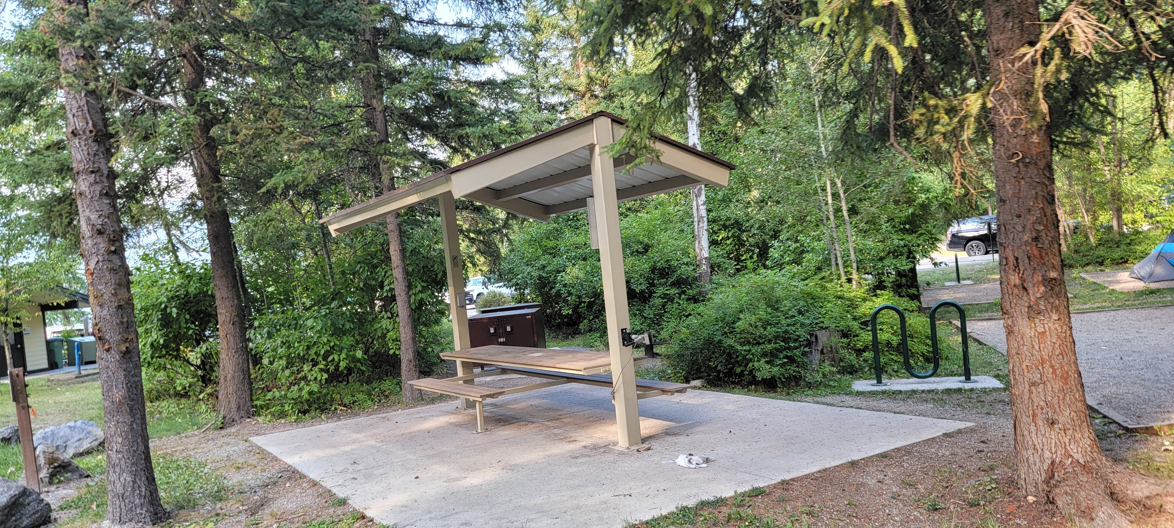 Camper submitted image from Whitefish Lake State Park Campground - 5