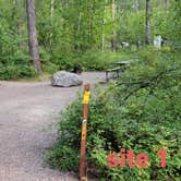 Review photo of Whitefish Lake State Park Campground by Nancy C., August 31, 2021