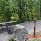 Review photo of Whitefish Lake State Park Campground by Nancy C., August 31, 2021