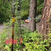 Review photo of Whitefish Lake State Park Campground by Nancy C., August 31, 2021