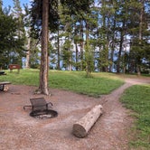 Review photo of Bridge Bay Campground — Yellowstone National Park by Angelica B., June 22, 2018