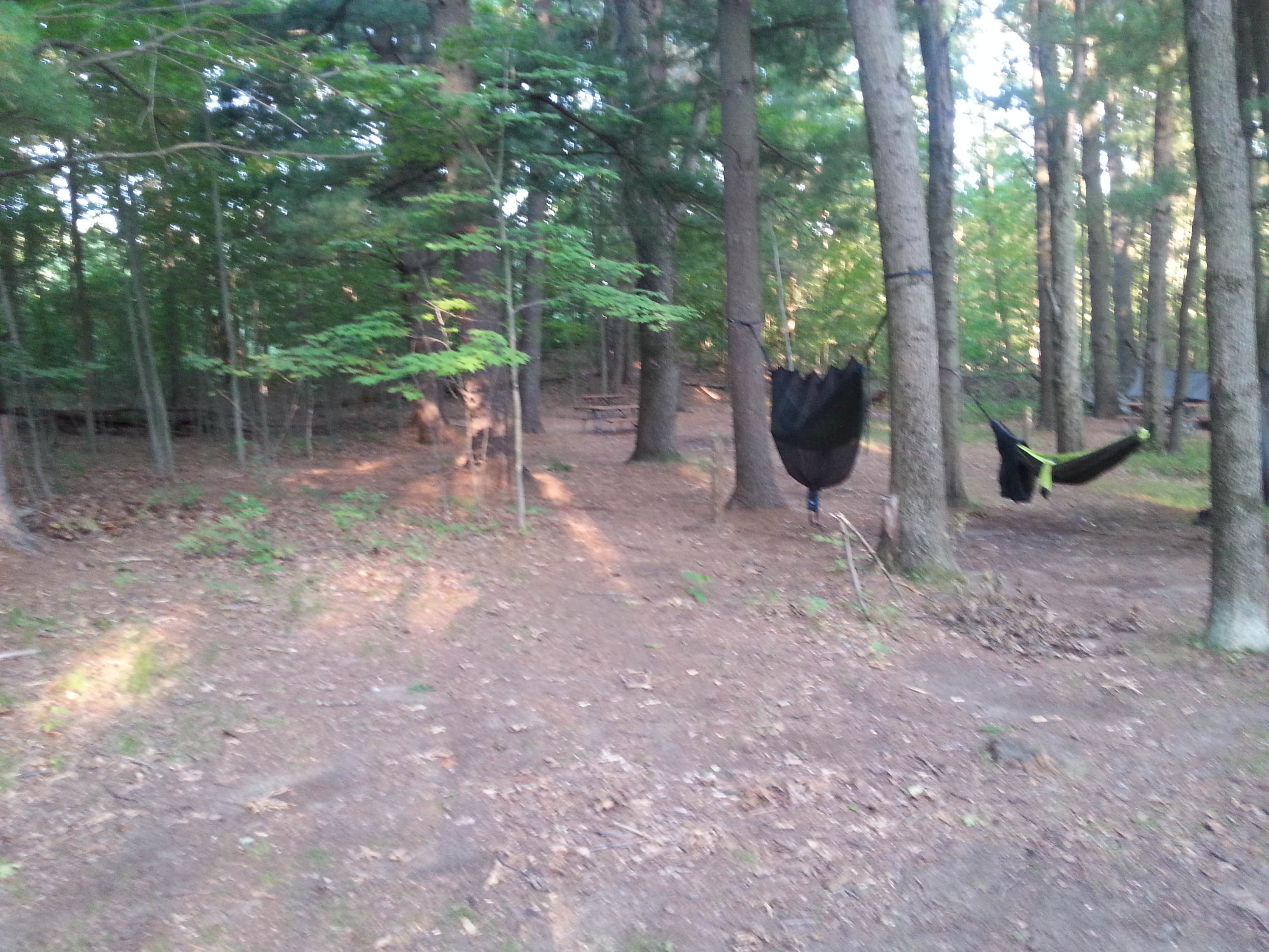 Camper submitted image from The Pines Rustic Campground — Waterloo Recreation Area - 5