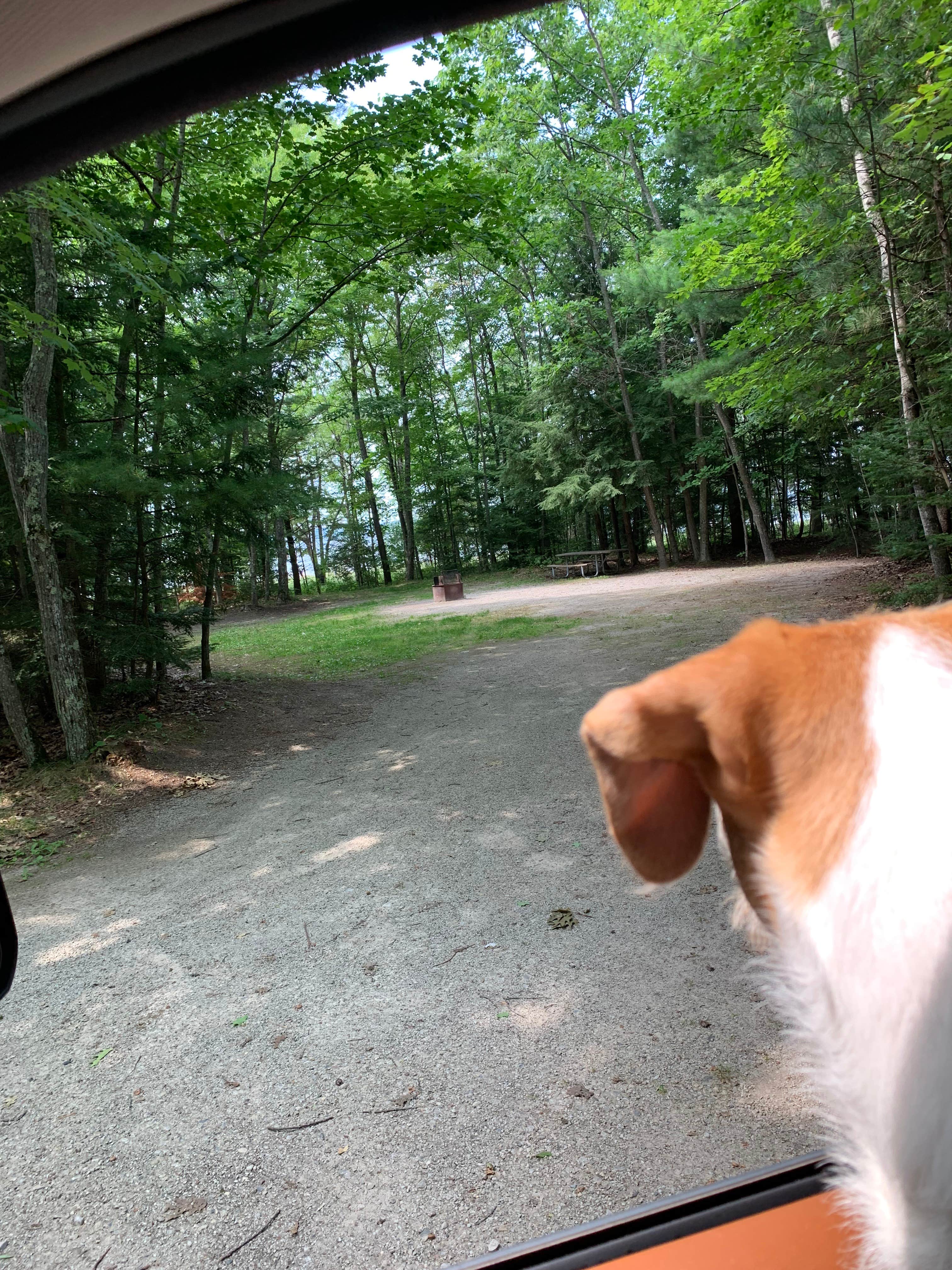 Neil T.'s photo of camping with pets at Little Bay De Noc near Manistique, MI