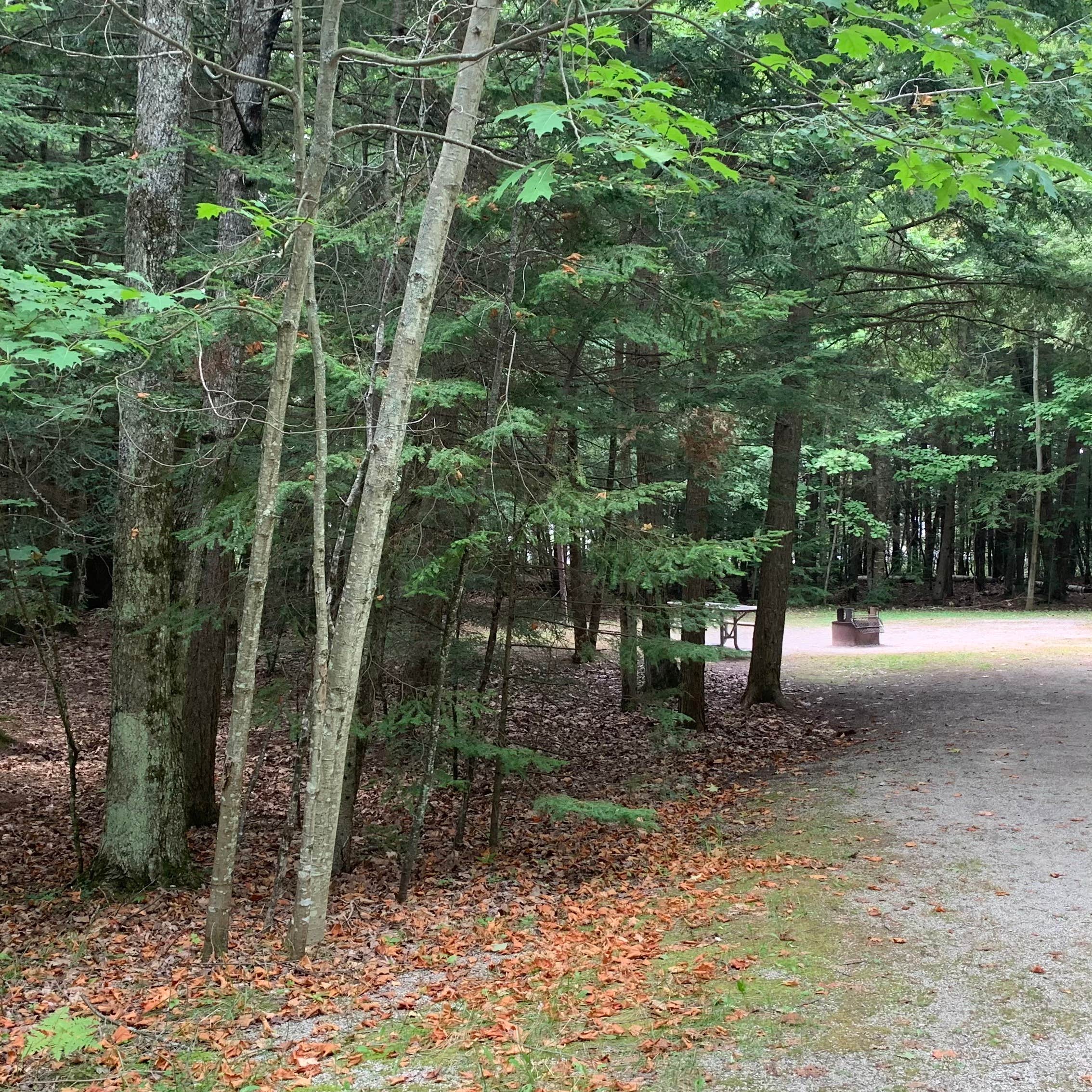 Escape to Serenity: Little Bay de Noc State Park Campground, Michigan
