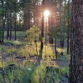 Review photo of Fort Tuthill Luke AFB Recreation Area by SK H., August 31, 2021