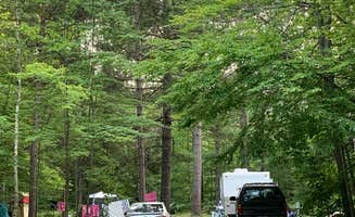 Neil T.'s photo at Seven Lakes State Park Campground near Davisburg, MI