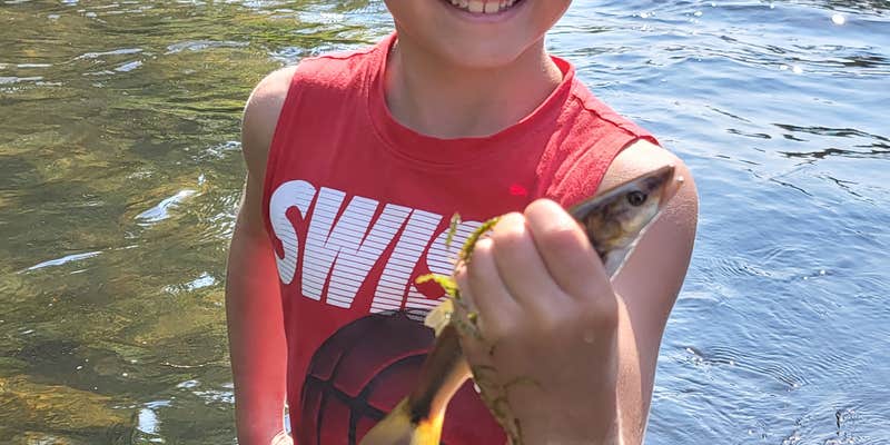 Camper submitted image from Riverpark RV Resort