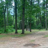 Review photo of Carp River Campground by Neil T., August 31, 2021