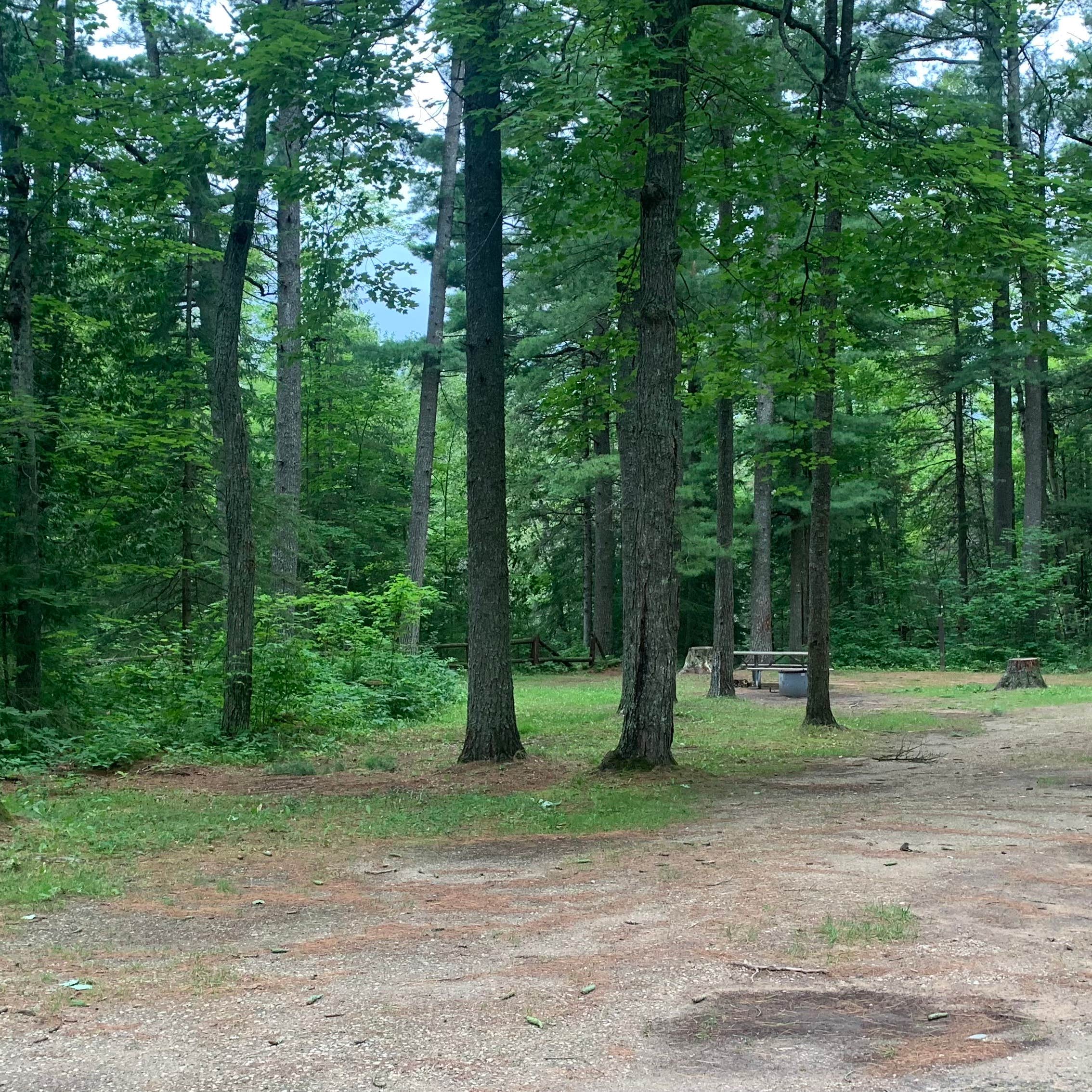 Escape to the Wilderness: Carp River Campground, Your Michigan Adventure Awaits!