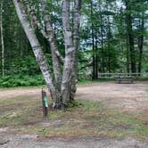 Review photo of Carp River Campground by Neil T., August 31, 2021