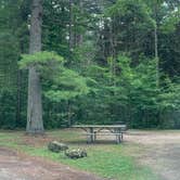 Review photo of Carp River Campground by Neil T., August 31, 2021