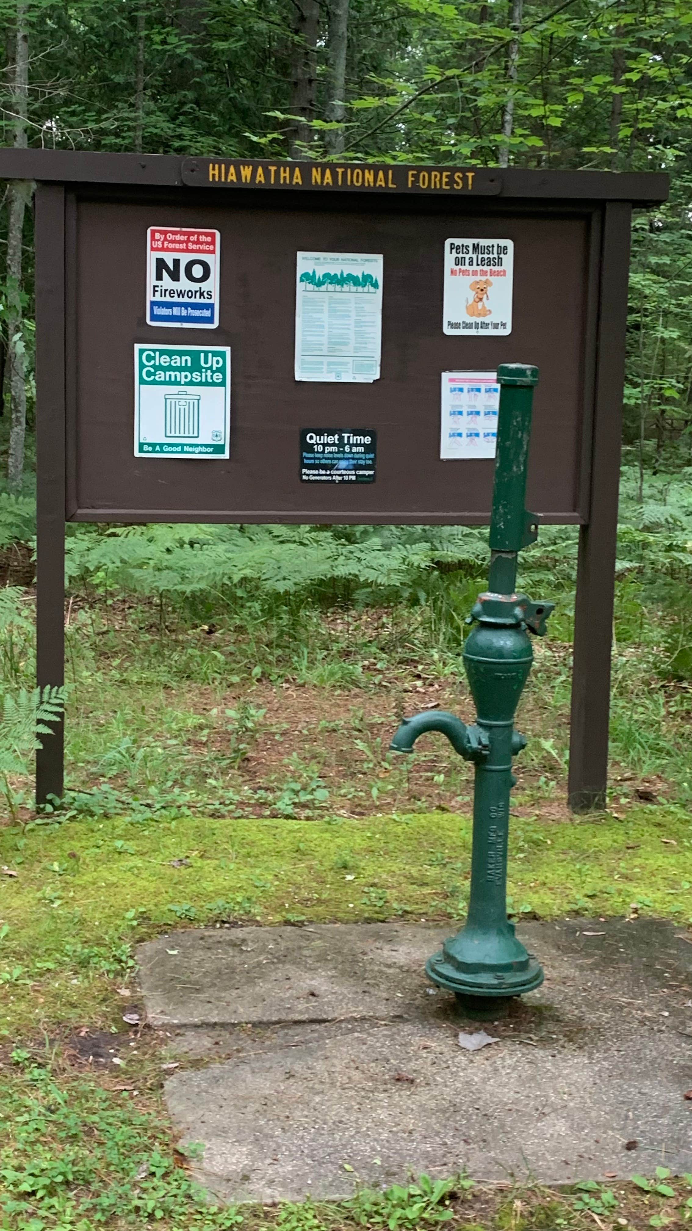 Camper submitted image from Carp River Campground - 4