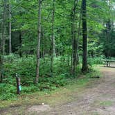 Review photo of Carp River Campground by Neil T., August 31, 2021