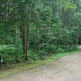 Review photo of Carp River Campground by Neil T., August 31, 2021