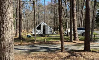 Cassandra R.'s photo of a cabin at Morrow Mountain State Park Campground near Salisbury, NC