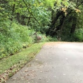 Review photo of Chief Keokuk Campground — Johnson-Sauk Trail State Recreation Area by Art S., August 31, 2021