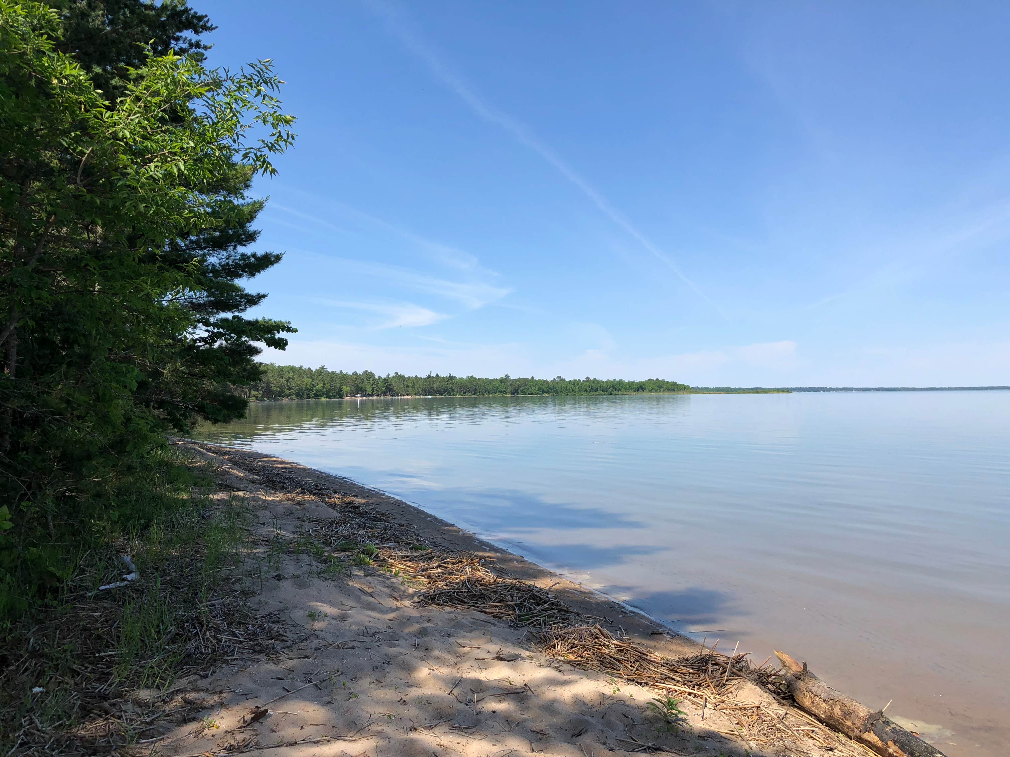 Camper submitted image from Norway Beach - Wanaki Campground Loop - 4