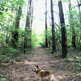 Review photo of Chief Keokuk Campground — Johnson-Sauk Trail State Recreation Area by Art S., August 31, 2021