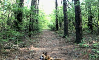 Art S.'s photo of camping with pets at Chief Keokuk Campground — Johnson-Sauk Trail State Recreation Area near Geneseo, IL
