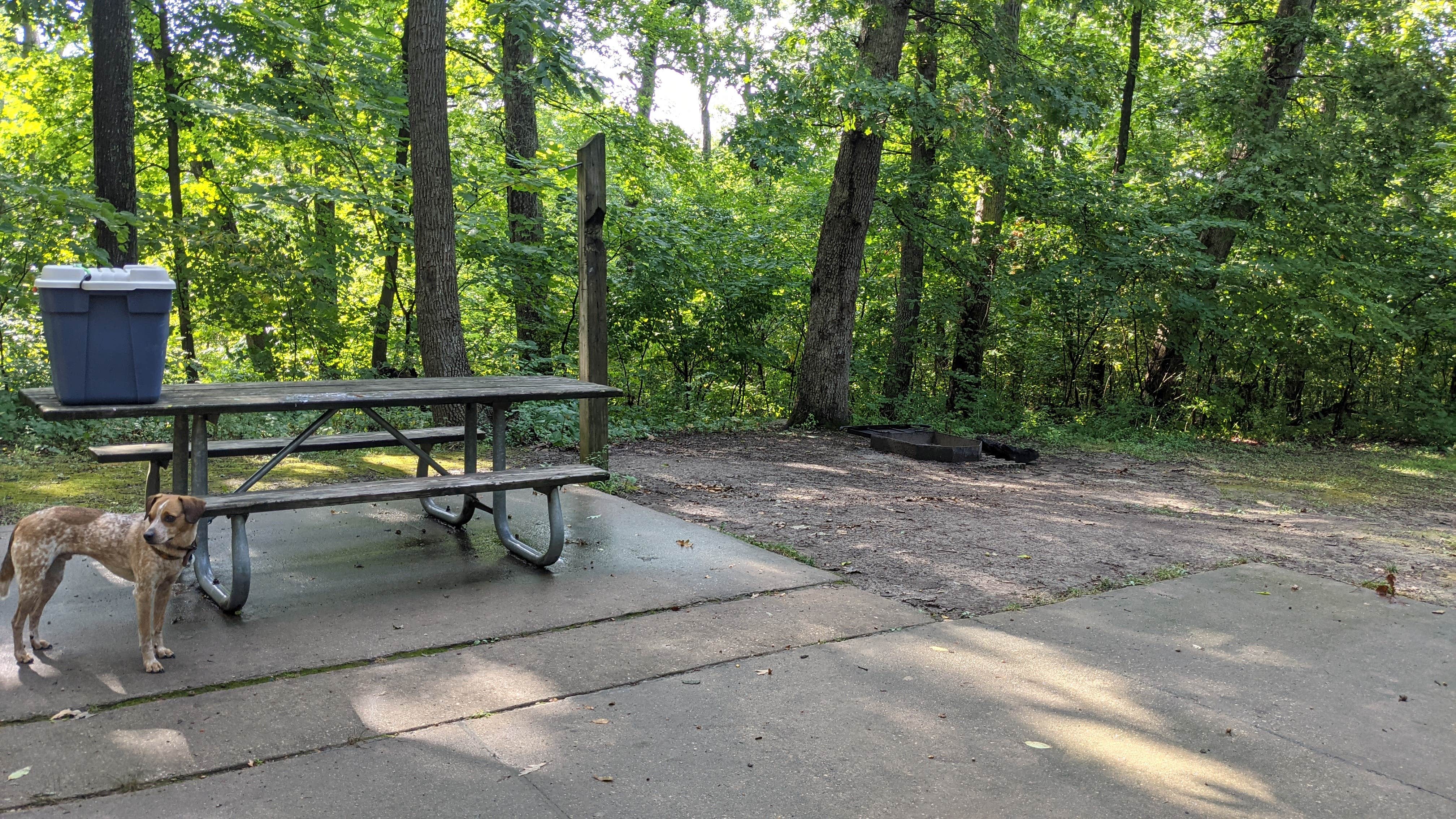 Best camping near St. Louis, Missouri The Dyrt