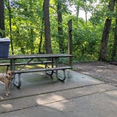 Review photo of Dr. Edmund A. Babler Memorial State Park Campground by Danielle C., August 31, 2021