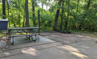 Danielle C.'s photo of camping with pets at Dr. Edmund A. Babler Memorial State Park Campground near House Springs, MO