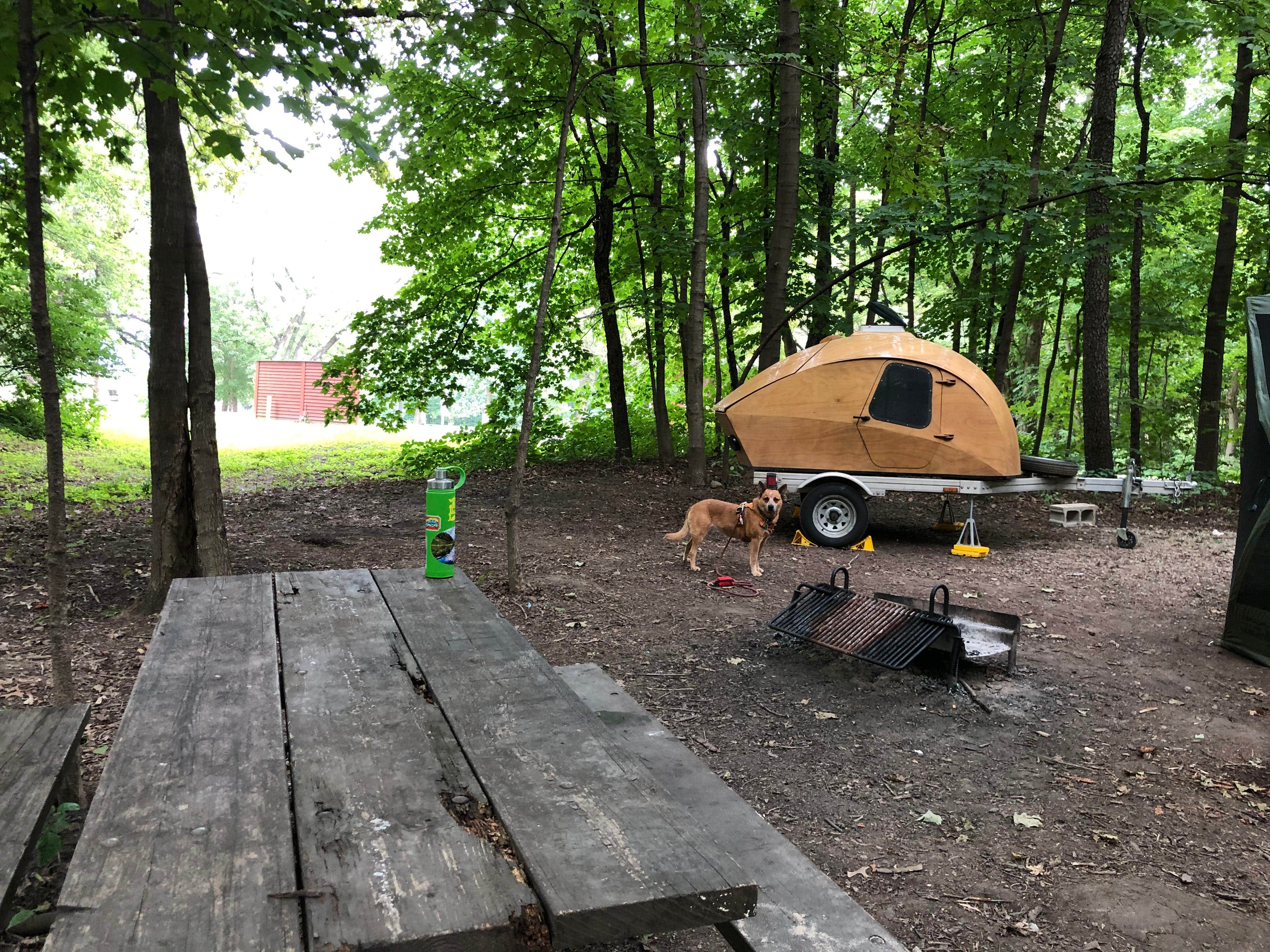 Art S.'s photo of camping with pets at Whitetail Campground — Illini State Park near Pontiac, IL