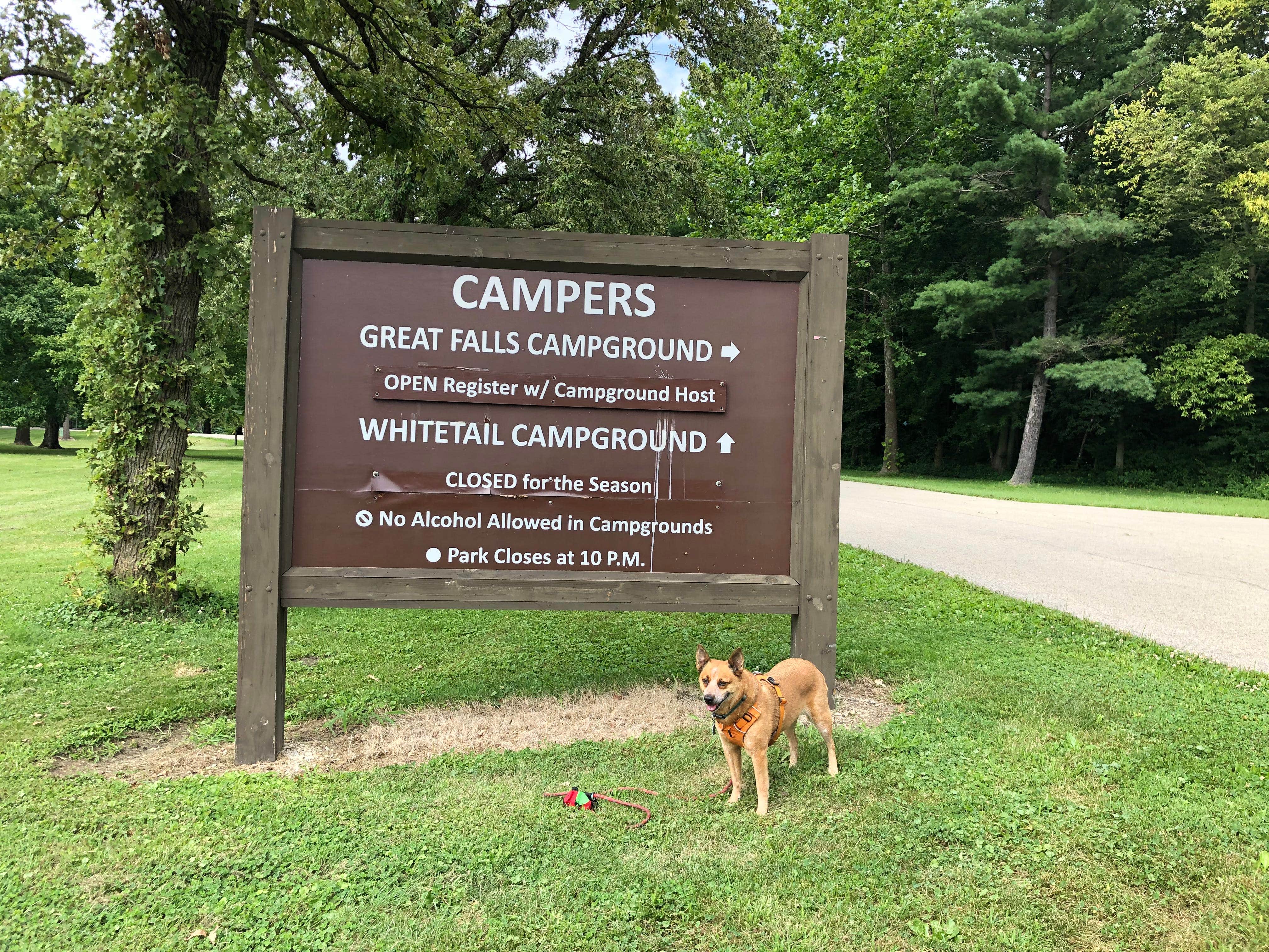 Art S.'s photo of camping with pets at Whitetail Campground — Illini State Park near North Utica, IL