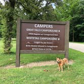 Review photo of Whitetail Campground — Illini State Park by Art S., August 31, 2021